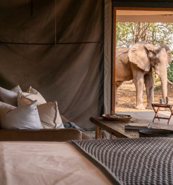 WILDERNESS REABRE 2 CAMPAMENTOS EN EL PARQUE NACIONAL MANA POOLS