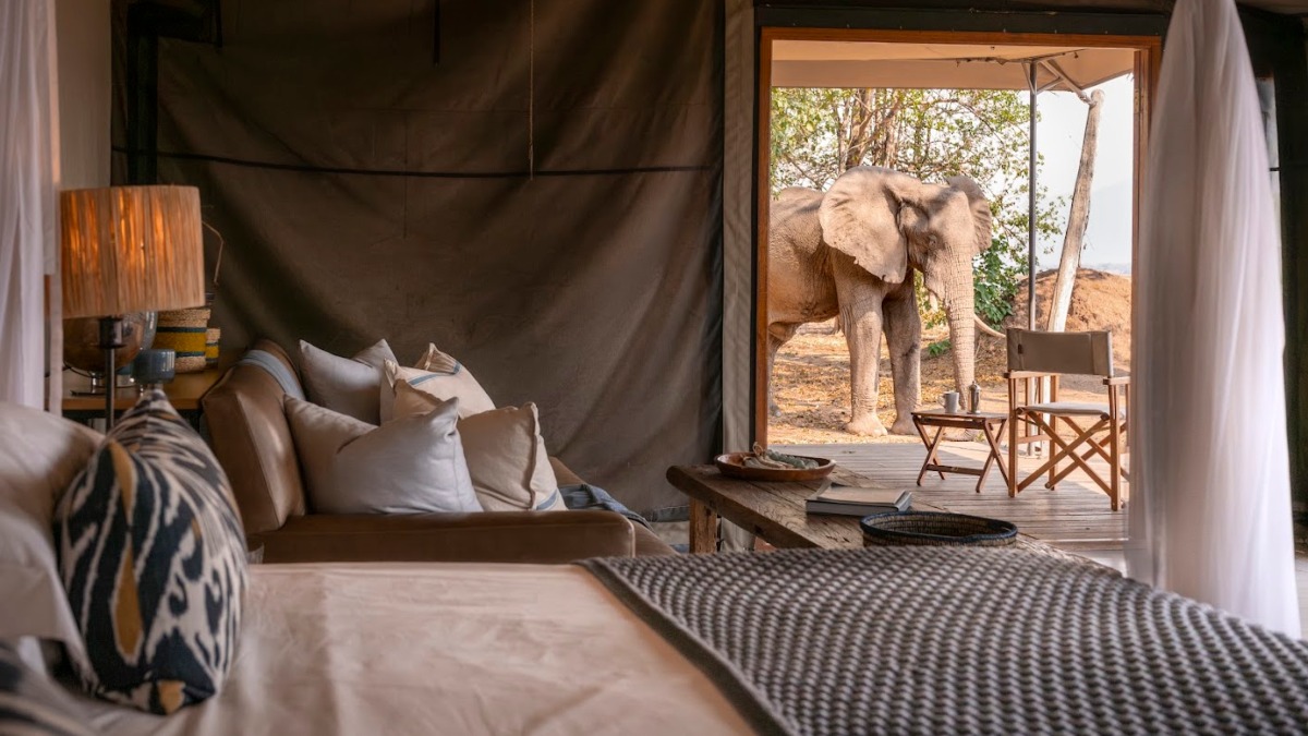 WILDERNESS REABRE 2 CAMPAMENTOS EN EL PARQUE NACIONAL MANA POOLS