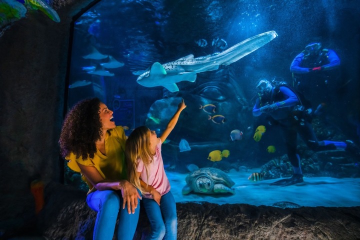 1. Madre e hija observan un tiburón SEA LIFE Orlando. Foto - Archivo SEA LIFE Orlando