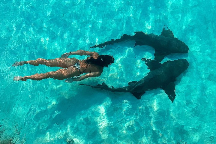 1. Nado con tiburones nodriza en Compass Cay. Foto - @beverleycheng (Instagram)