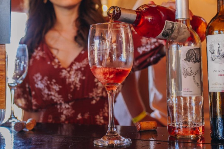 1. Vino en Fiesta de los Viñedos en Flor 2024. Foto - Provino Baja California (Facebook)