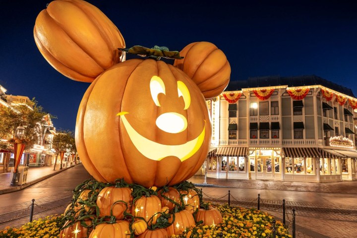 2. Calabaza gigante de Mickey Mouse. Foto - Disney Parks Blog