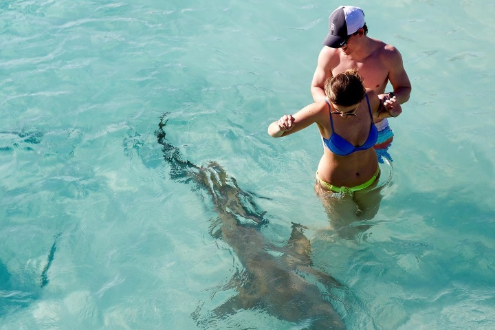 2. Pareja con tiburon en Compass Cay. Foto - @kacie_connell (Instagram)