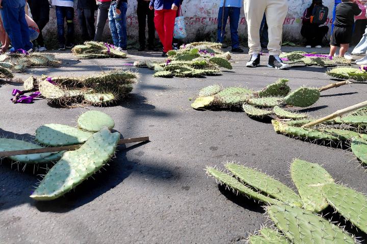 2. Pencas de nopales antes de la procesión. Foto - Angangueo Michoacán (Facebook)