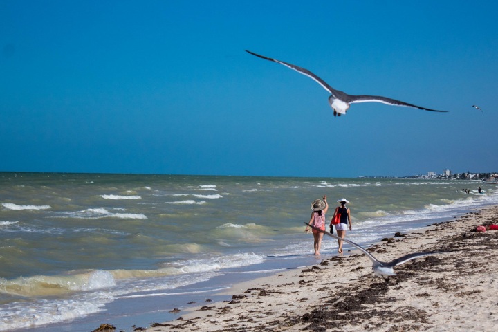 2. Playa en el Progreso. Foto - PaolaCallesC (Flickr)