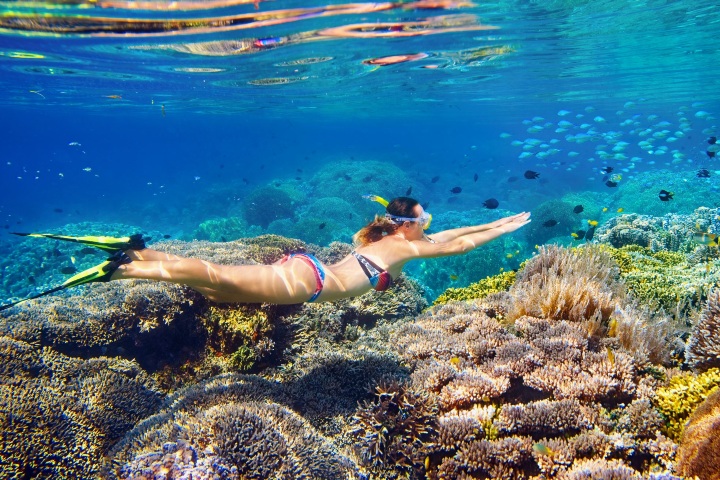 2. Snorkel en Harbour Island. Foto - Harbour Island Bahamas
