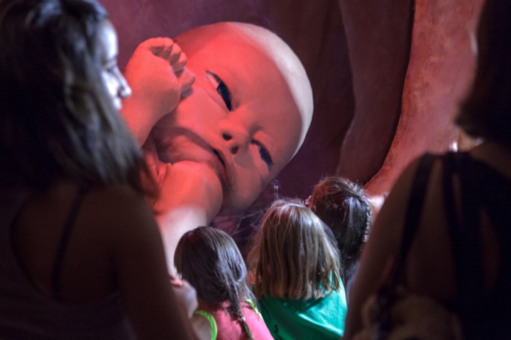 3. Bebé en la Mujer Gigante. Foto - lamujergigante