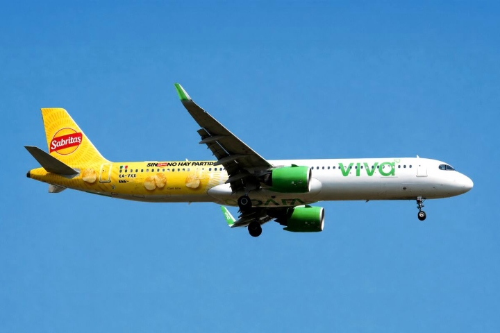 4. Avión de Viva y Sabritas. Foto - Vasily KasSab (LinkedIn)
