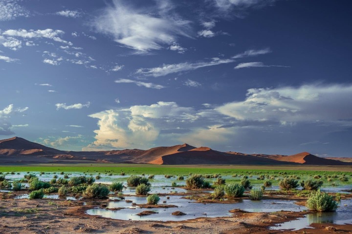 4. Namibia tras la temporada de lluvias. Foto - Namibia Photography Tour (Facebook)