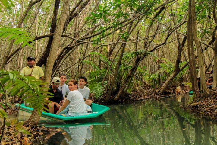 4. Recorrido en manglar de San Crisanto. Foto - Co'ox Mayab