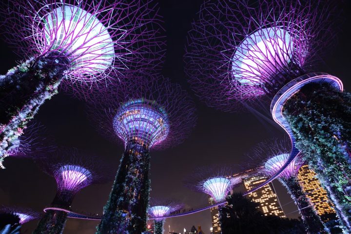 4. Superárboles de Marina Bay. Foto - Joshua Kettle (Unsplash)