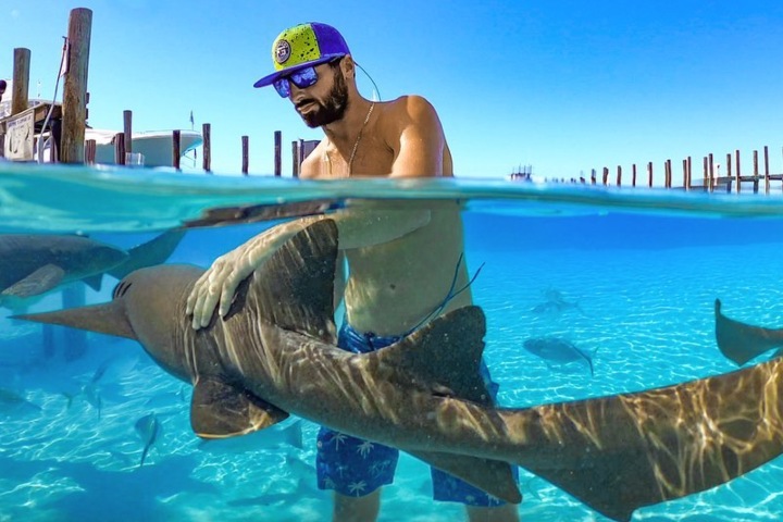 4. Viajero con tiburón nodriza. Foto - @spear_it_animal (Instagram)