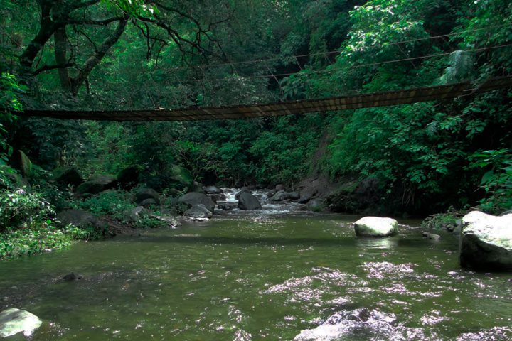 5. Barranca del Río Suchitlán. Foto - Comala Pueblo Magico