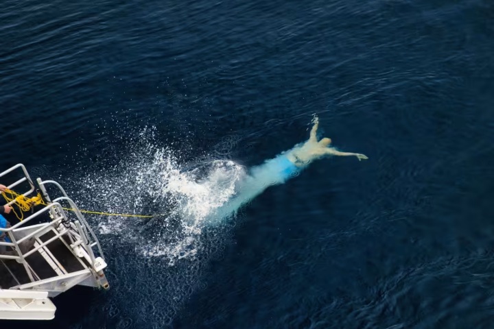5. Inmersión polar ártica. Foto - Quark Expeditions