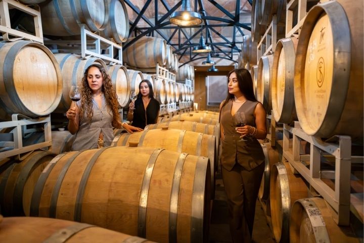 5. Recorrido por bodegas del Viñedo San Lucas. Foto - @vinedossanlucas (Instagram)