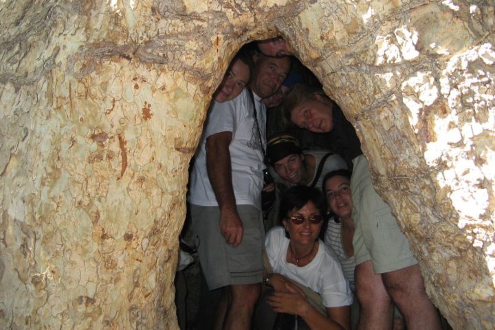 5. Viajeros en el interior del árbol chinar. Foto - dasita (Flickr)