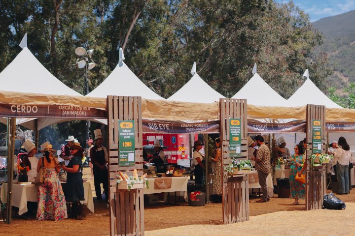 5. Zona gastronómica en la Fiesta de los Viñedos en Flor. Foto - Archivo PROVINO
