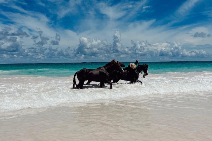 6. Caballos en Harbour Island. Foto - @mariam.on.the.move (Instagram)