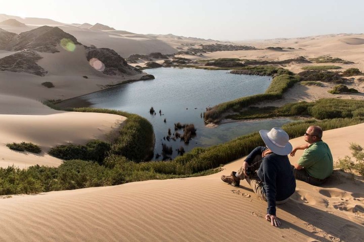 6. Viajeros en Skeleton Coast con vegetación. Foto - Wilderness Safaris