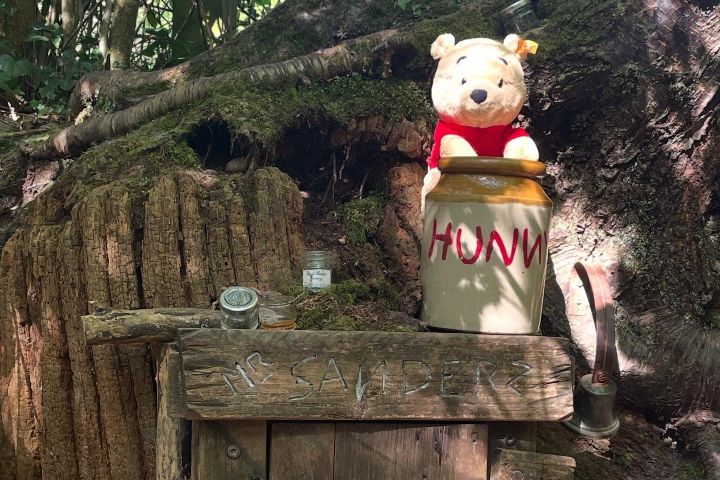 8. Peluche de Winnie The Pooh en Ashdown Forest. Foto - @bunny_plushy (Instagram)
