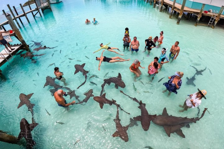 8. Viajeros en Compass Cay Marina. Foto - @leopardcatamarans (Instagram)