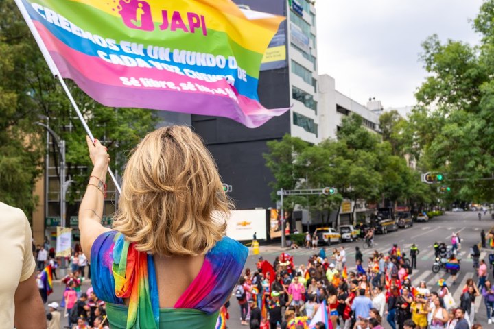 9. Japi en la Marcha LGBTQ+ en la CDMX. Foto - Archivo Japi