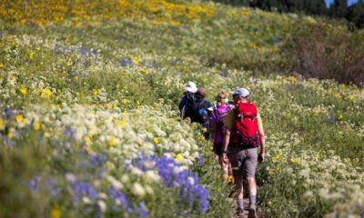 AVENTURAS DE VERANO EN COLORADO. Foto - Crested Butte Wildflower Festival (Facebook)