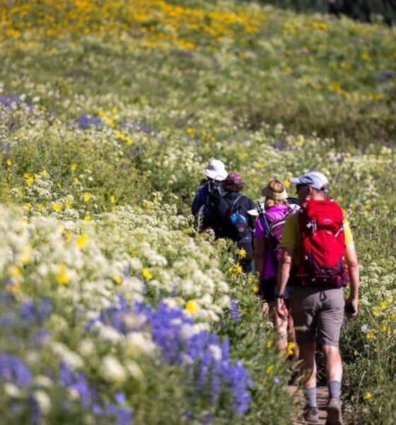 AVENTURAS DE VERANO EN COLORADO. Foto - Crested Butte Wildflower Festival (Facebook)