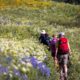 AVENTURAS DE VERANO EN COLORADO. Foto - Crested Butte Wildflower Festival (Facebook)