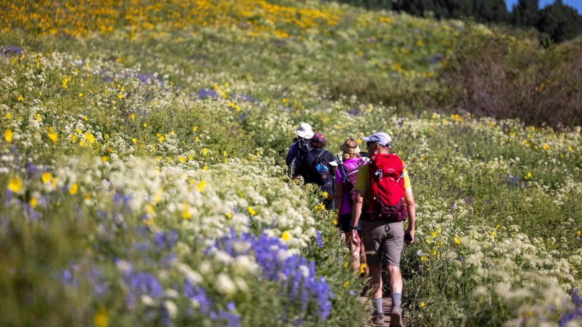 AVENTURAS DE VERANO EN COLORADO. Foto - Crested Butte Wildflower Festival (Facebook)