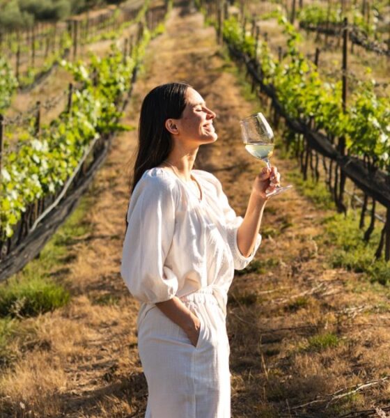 CELEBRANDO LOS VINOS DE GUANAJUATO CON EXPERIENCIAS 2026. Foto - @champitravels (Instagram)