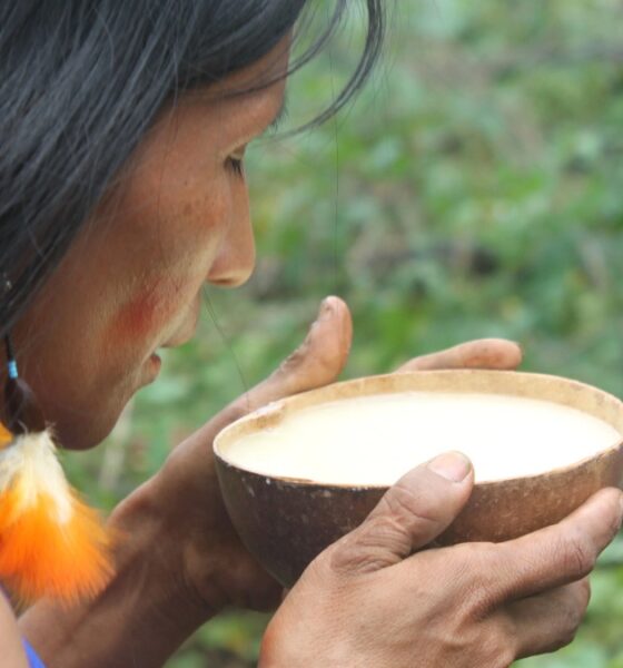 EL MASATO DE YUCA EN LA AMAZONIA DE PERÚ. Foto - KARACHUPA PAKCHA