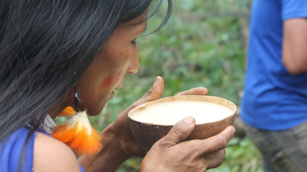 EL MASATO DE YUCA EN LA AMAZONIA DE PERÚ. Foto - KARACHUPA PAKCHA
