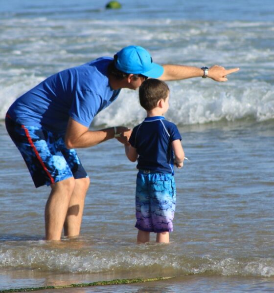 EXPERIENCIAS DEL DÍA DEL PADRE EN IXTAPA ZIHUATANEJO. Foto - taniadimas (Pixabay)