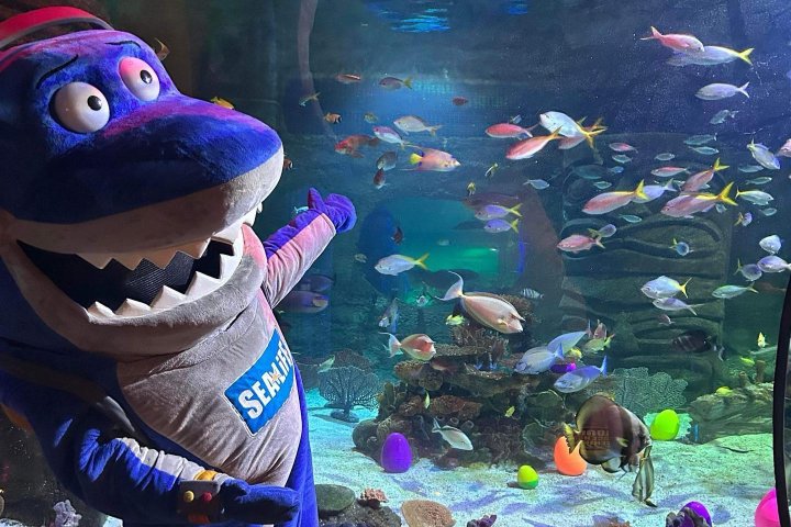 EXTRA. Sharky en SEA LIFE. Foto - @sealife_orlando (Instagram)