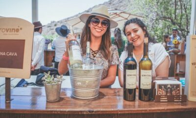 FIESTA DE LOS VIÑEDOS EN FLOR 2026. Foto - Provino Baja California (Facebook)