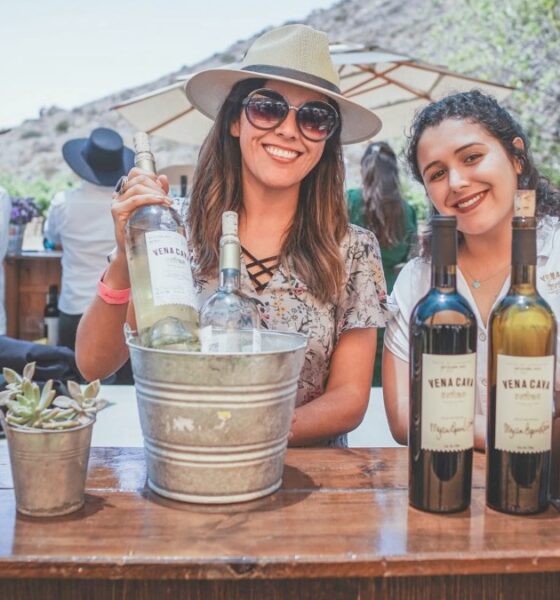 FIESTA DE LOS VIÑEDOS EN FLOR 2026. Foto - Provino Baja California (Facebook)