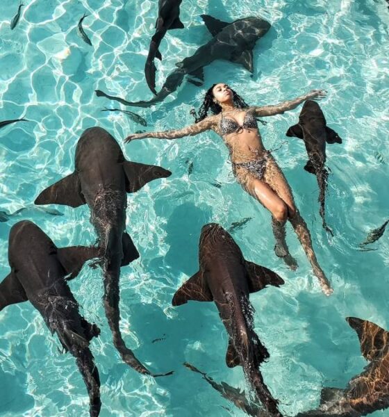 NADANDO CON TIBURONES EN COMPASS CAY. Foto - Tami Siewruk (Facebook)