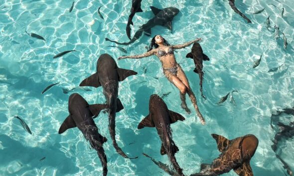 NADANDO CON TIBURONES EN COMPASS CAY. Foto - Tami Siewruk (Facebook)