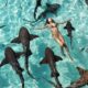 NADANDO CON TIBURONES EN COMPASS CAY. Foto - Tami Siewruk (Facebook)