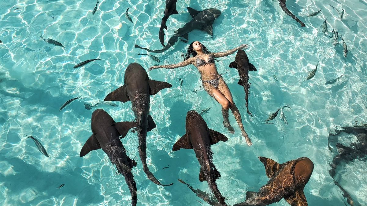 NADANDO CON TIBURONES EN COMPASS CAY. Foto - Tami Siewruk (Facebook)