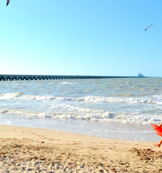 YUCATÁN DURANTE EL VERANO, UNA PLAYA SIN MULTITUDES. Foto - Marysol_ (Flickr)