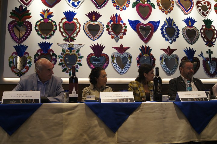 1. Conferencia de GEMA. Foto - Gus Espinosa
