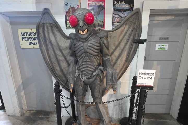 1. Figura del Mothman. Foto - @the_wasteland_goth (Instagram)