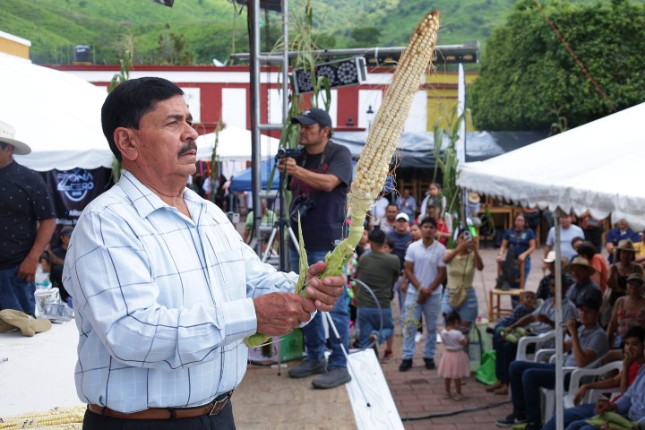 1. Hombre con elote gigante durante la Ferias del Elote Jala 2025. Foto - Gobierno Municipal de Jala (Facebook)