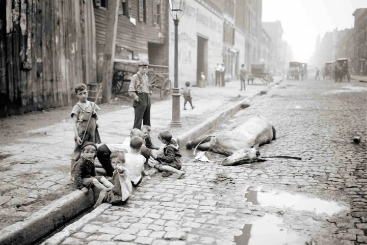 1. Niños en calle de Nueva York con caballo muerto, alrededor de 1900 . Foto - Regimen Sanitatis 2.0
