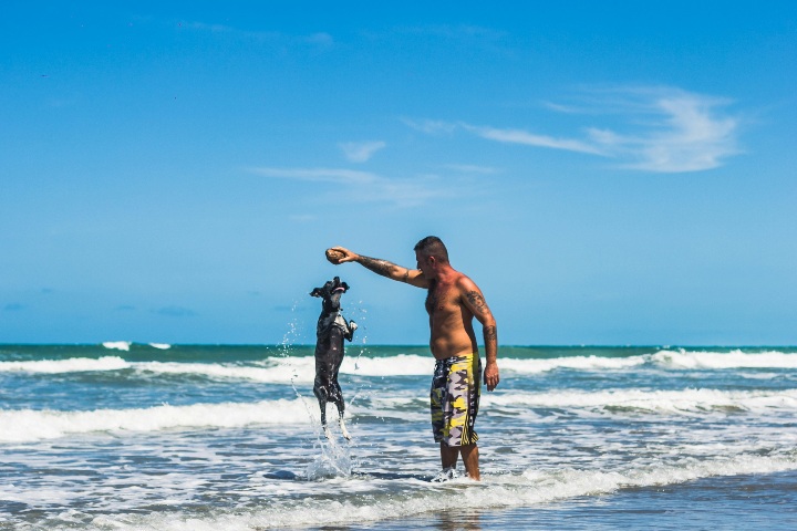 1. Viajero con perro en la playa. Foto - Raphael Fernandes (Unsplash)