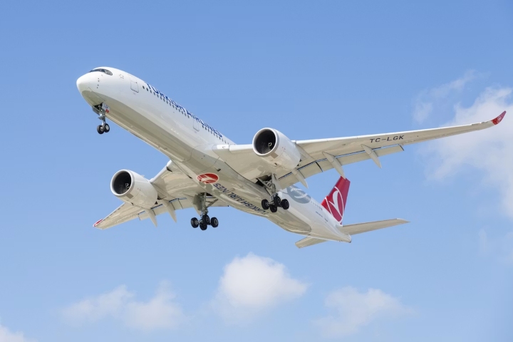2. Avión de Turkish Airlines. Foto - Brandon Karaca (Unsplash)
