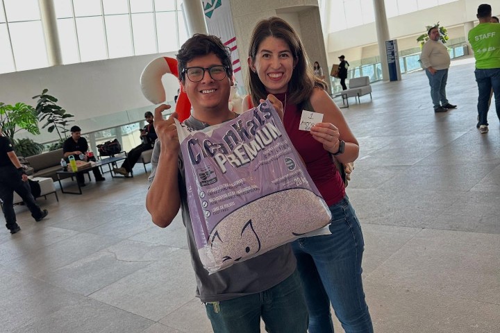 2. Ganador de premios durante el Miau & Pets Expo Mascotas México 2026. Foto - @expomascotasmexico (Instagram)