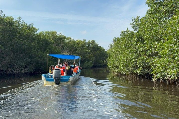 2. Recorrido en Manglares de la Isla de Piedra. Foto - Secretaría de Turismo de Sinaloa (Facebook)